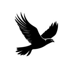 Obraz premium Black Bird Silhouette Flight White Background