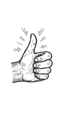 Hand Gesture - Thumbs Up for Approval and Agreement.