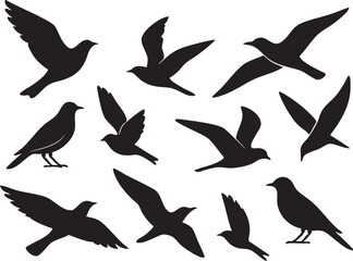 Bird silhouette set of flying and sitting birds on white background