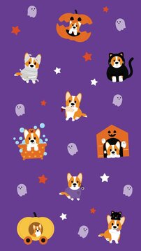 Cute Corgi Dog Halloween Costume Wallpaper