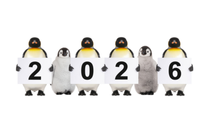 Penguins hold sign 2026, symbolizing new year resolution and vision in a clean setting.  Isolated On Transparent and White Background