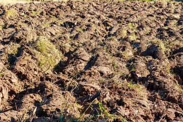 Untouched wild land plowed by a tractor