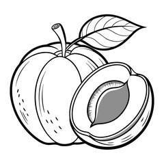 Hand-drawn Coloring Page Depicting an Apricot Fruit with a Visible Pit