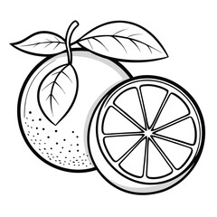 Orange Fruit with Slice Illustration for Coloring Page
