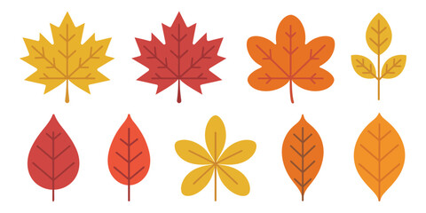 Obraz premium Autumn foliage vector collection with colorful leaves in multiple shapes and shades isolated background perfect for fall design seasonal poster and sticker
