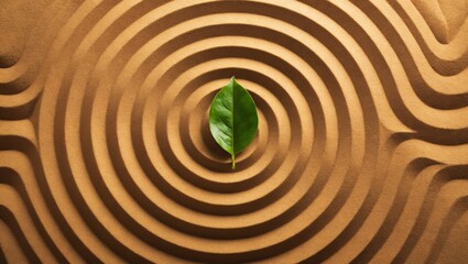 Growth and Balance: Green Plant in Zen Sand Garden Symbolizing Nature and Renewal.