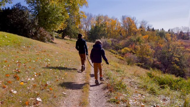Children walking with their dog in a park on a sunny day in Autumn