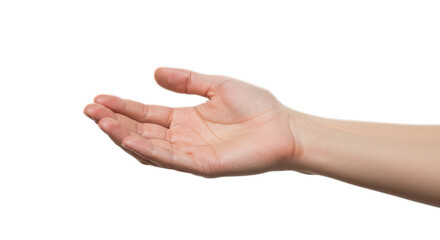 Open palm, relaxed gesture of offering or supplication—studio-lit white clarity. Isolated on transparent background, png