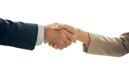 handshake between two businessmen, isolation
