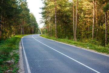 A winding asphalt road curves through a dense pine forest on a bright day, inviting a peaceful journey into nature