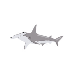 hammerhead shark