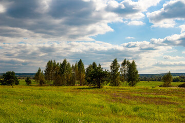 A flat landscape with a view of sparse trees surrounded by green fields.