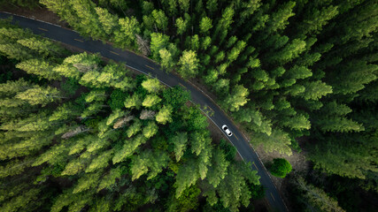 Aerial view of dark green forest road and white electric car Natural landscape and elevated roads Adventure travel and transportation and environmental protection concept	