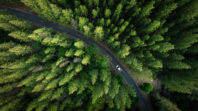 Aerial view of dark green forest road and white electric car Natural landscape and elevated roads Adventure travel and transportation and environmental protection concept	