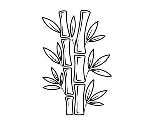 Elegant hand-drawn bamboo illustration with detailed leaves, black and white vector line art for nature, Zen, and eco design.