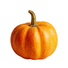 Obraz premium Big orange ripe pumpkin on a white background