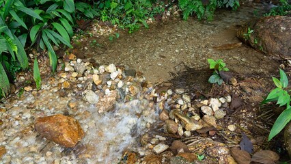 Obraz premium Crystal-Clear Stream: A serene stream, its clear water cascading over smooth rocks, weaving its way through a vibrant landscape. A visual journey of purity and the refreshing sound of nature.