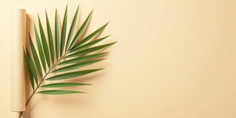 Elegant Palm Frond and Rolled Paper on a Neutral Background A Simple, Minimalist Design Element for Branding and Advertisement