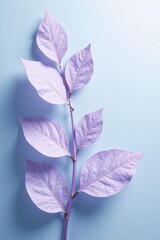 Serene Lavender Branch with Delicate Leaves on Pale Blue Background