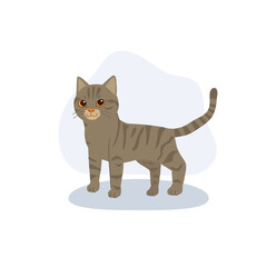adorable gray american shorthair cat with striped fur, standing calmly in minimalist flat style