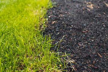 green grass and bare soil patch with grass seeds close up landscape concept