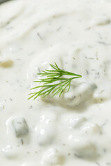 Healthy Homemade Cucumber Tzatzki Yogurt Sauce