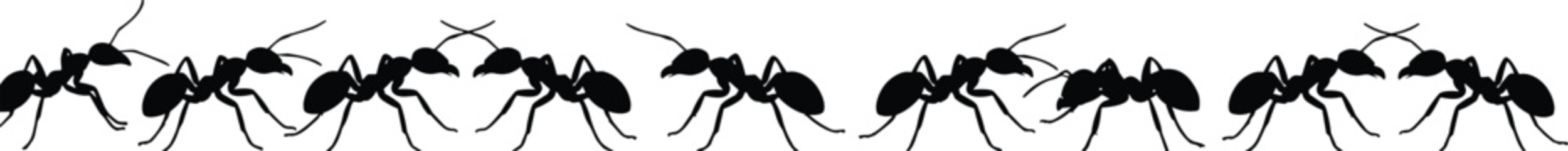 Ant silhouette border pattern, insect row design, black ants walking line, seamless entomology decoration, pest control concept, vector illustration