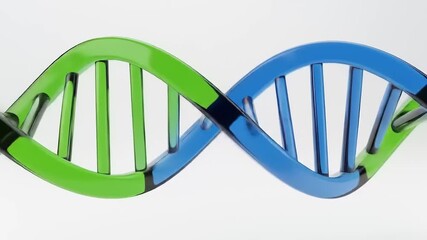 Dynamic 3D Animation of a DNA Double Helix Structure in Green and Blue. - Powered by Adobe