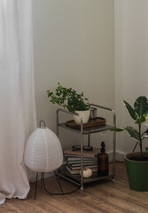 A stylish corner of the living room - a metal table with books and decor, a paper lamp, indoor flowers on the wooden floor in the living room