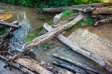 Fallen logs create a rustic, makeshift bridge over a shallow, winding stream flowing through lush green banks. Sunlight dappling on the water highlights the natural, untouched wilderness