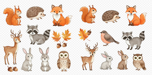 Cute watercolor forest animals and autumn elements illustration set, featuring squirrels, foxes, deer, raccoons, rabbits, owls, hedgehogs, and fall leaves. © studio