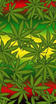 Cannabis Leaf Rasta Colors Background - A Vibrant Marijuana Pattern.