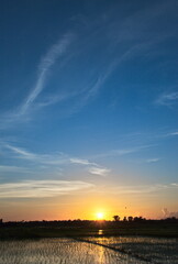 Beautiful Sunrise Over Paddy Field with Reflection in Water and Blue Cloudy Sky — Peaceful Nature Landscape