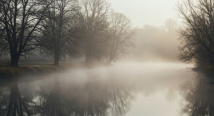 Fototapeta premium Misty Morning River Scene Trees Silhouetted by Soft Natural Light