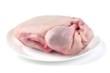 Raw Duck on Plate, isolated on white background