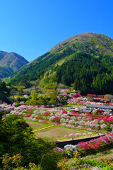 花桃の里　長野県阿智村