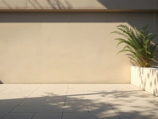 Minimalist Outdoor Space with Palm Plant and Sunlight Shadows