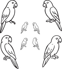 Parrots Icons Set, Exotic Bird and Wildlife Line Symbols, Tropical Animal and Nature Vector Illustration on White Background
