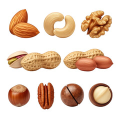 Set of Various Nuts Almonds Cashews Walnuts Pistachios Peanuts Hazelnuts Pecans Macadamia