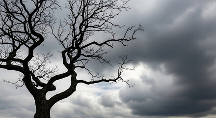 Bare Tree Silhouette Against Ominous Storm Clouds.