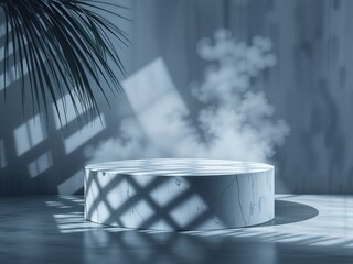 
keyword: podium, marble, shadow, light, smoke, plant, leaf, modern, interior, design, stage,