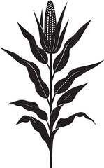 Black corn plant graphic with kernels and leaves on white background