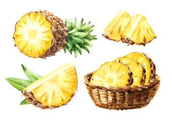 Ripe pineapple fruit set, full and cut  Hand drawn watercolor illustration, isolated on white background