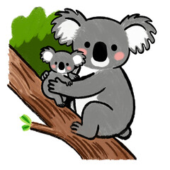 koala bear in tree
