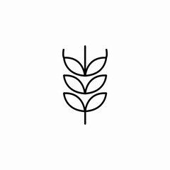 wheat grain stalk icon sign vector