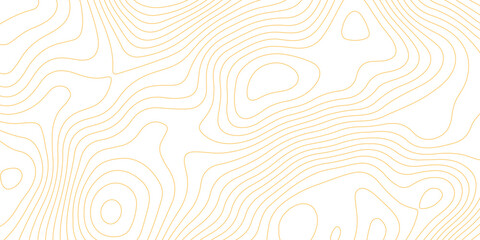 Topographic map background with geographic grid for hiking and mountain sport. luxury topographic wavy pattern and geographic grid map design. paper texture Imitation of a geographical map shade.