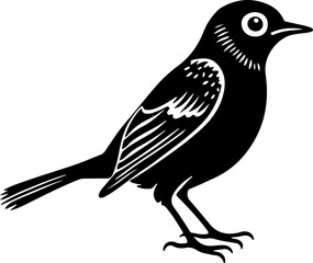 Black bird silhouette isolated on white background