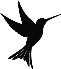 Hummingbird Fighting Silhouette