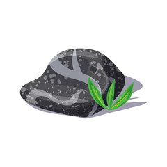 Smooth Dark River Stone with Delicate Green Leaves on a White Background