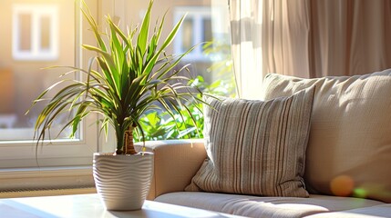 A photo of a clean, fresh-smelling home living area.